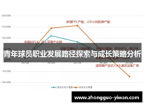 青年球员职业发展路径探索与成长策略分析