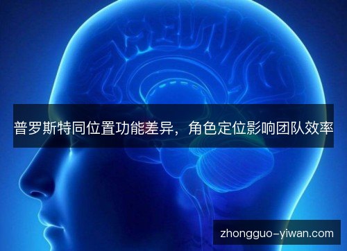 普罗斯特同位置功能差异，角色定位影响团队效率